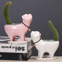 Supply Gardening Cat Tail Fleshy Cactus Ceramic Flower Pot Cartoon Cute Personality Ornaments