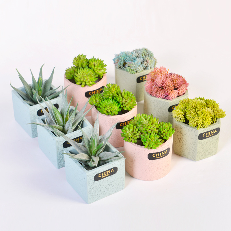 macaron succulent flower pot desktop plant round small flower pot breathable cement flower pot balcony pot