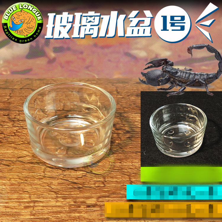 爬虫蜘蛛水盆食盆亚克力爬虫箱蝎子守宫蜥蜴宠物玉米蛇造景玻璃杯