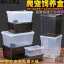 Scum box reptile box mantis jumping spider silkworm rearing box reptile ciliary horn hermit crab rearing box