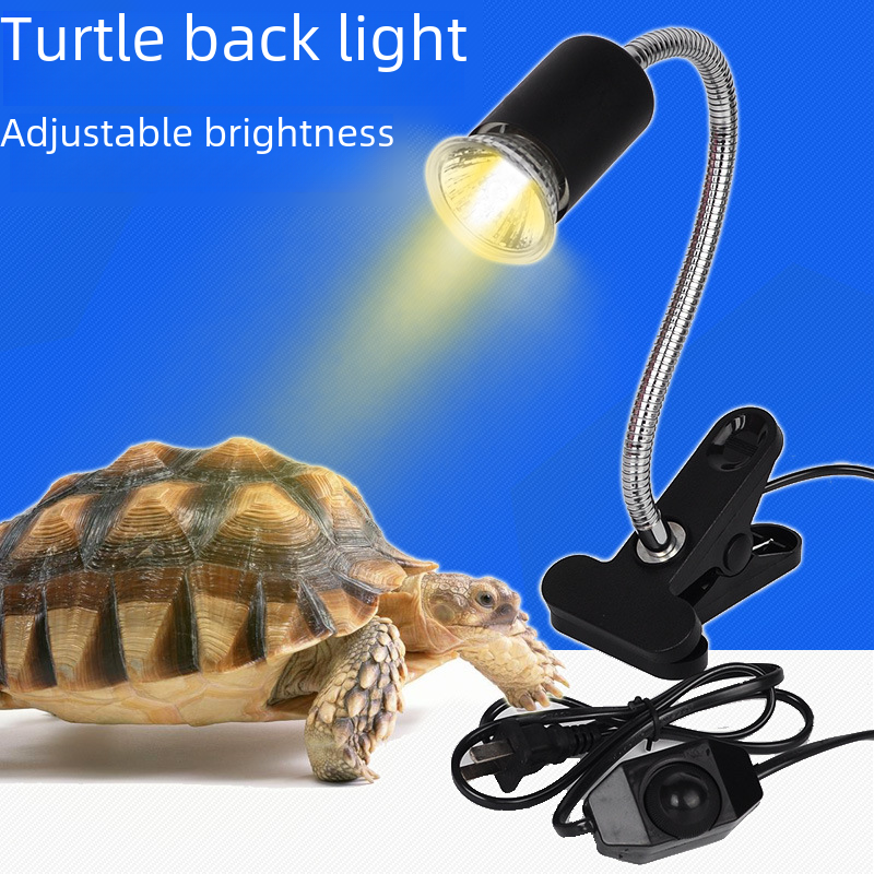 Tortoise Sun Backlight Universal Lamp Holder E27 Ceramic Lamp Holder UVB Lamp Holder with Clip US Gauge Japanese Gauge Plug for Tortoise Cylinder