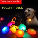 Spot luminous pet dog LED round pendant dog pendant pet outdoor travel LED warning light manufacturers