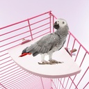 Love pet parrot Chinchilla squirrel hamster fan-shaped station board pedal station board