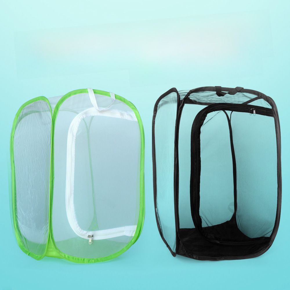 Green and Black Optional Foldable Convenient Storage Mantis Butterfly Slub Insect Feeding Box Mesh Insect Cage