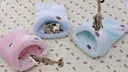 Pet flannel cotton nest guinea pig Dutch pig honey bag glider hedgehog hamster bedroom sleeping nest removable and washable