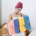 Dry Hair Cap Absorbent Coral Fleece Thickened Double Layer Hair Care Shower Cap Cute Embroidered Hair Washing Towel Home Daily Necesties