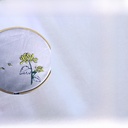 Children's tie-dye square pure cotton white cloth embroidery rubbing pure white handkerchief teaching experiment manual DIY