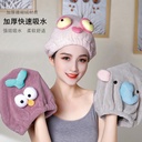 Cute Quick-Drying Water Absorbent Dry Hair Cap Internet Popular Funny Big Eyes Shower Cap Japanese Style Lazy Head Pullover Towel Hair Wipe Cap
