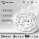 Silk quilt Tongxiang silk quilt mulberry silk quilt core cotton mother quilt spring and autumn winter quilt Tongxiang silk quilt