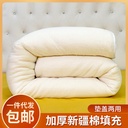 Xinjiang cotton quilt wholesale cotton quilt quilt core bedding spring and autumn quilt cotton wool mattress pad mattress