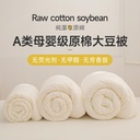 Class A Maternal and Infant Grade Raw Cotton Soybean Quilt Single Double Soybean Fiber Quilt Winter Quilt Thickened Spring and Autumn Quilt Student Quilt