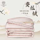 Tongxiang silk quilt 100% pure mulberry silk quilt core double Palace silk quilt pure cotton mother quilt silk quilt factory