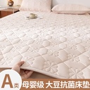 Class A Quilted Antibacterial Mattress Mattress Non-slip Four Seasons Mattress Thin Mattress Rental Home Student Dormitory ~