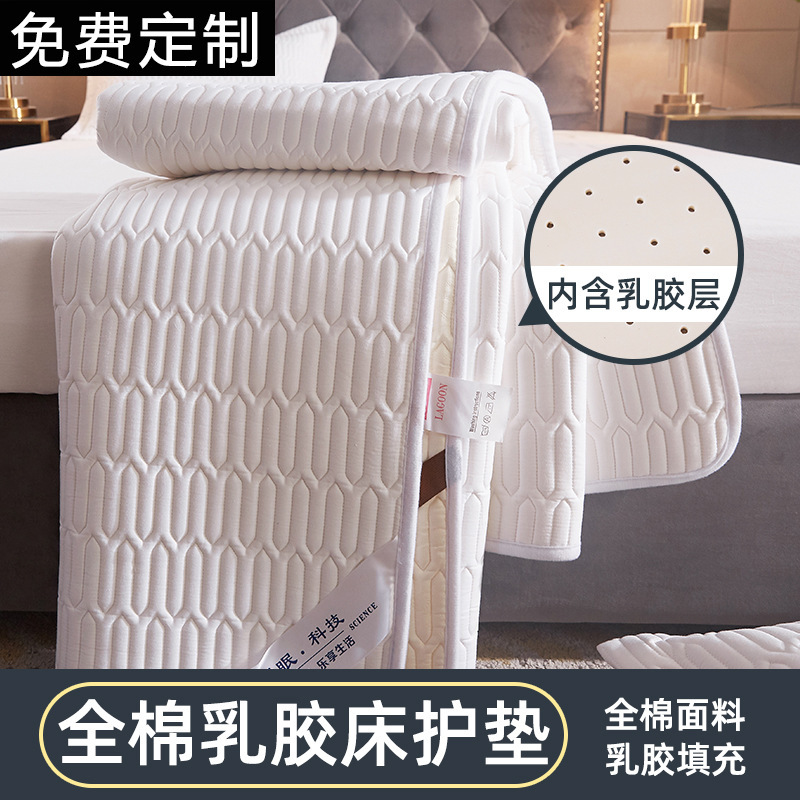 Winter Cotton Latex Mattress Cushion Thin Cushion Mattress Double 1.8 Simmons Protective Mat Pin Gift