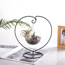 Micro-landscape Glass Hanging Ball Iron Stand Hydroculture Bottle Heart-shaped Hanging Iron Stand Plush Confused Doll Hanging Blue Stand