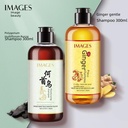 Beautiful Image Ginger Shampoo Moisturizing Refreshing Shampoo Compliant Polygonum Multiflorum Shampoo Shampoo