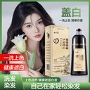 Authentic Chinese Zen Wash Plant Hair Dye Cream White to Black Healthy One Black Dyed Natural Black Hair Dye at Home