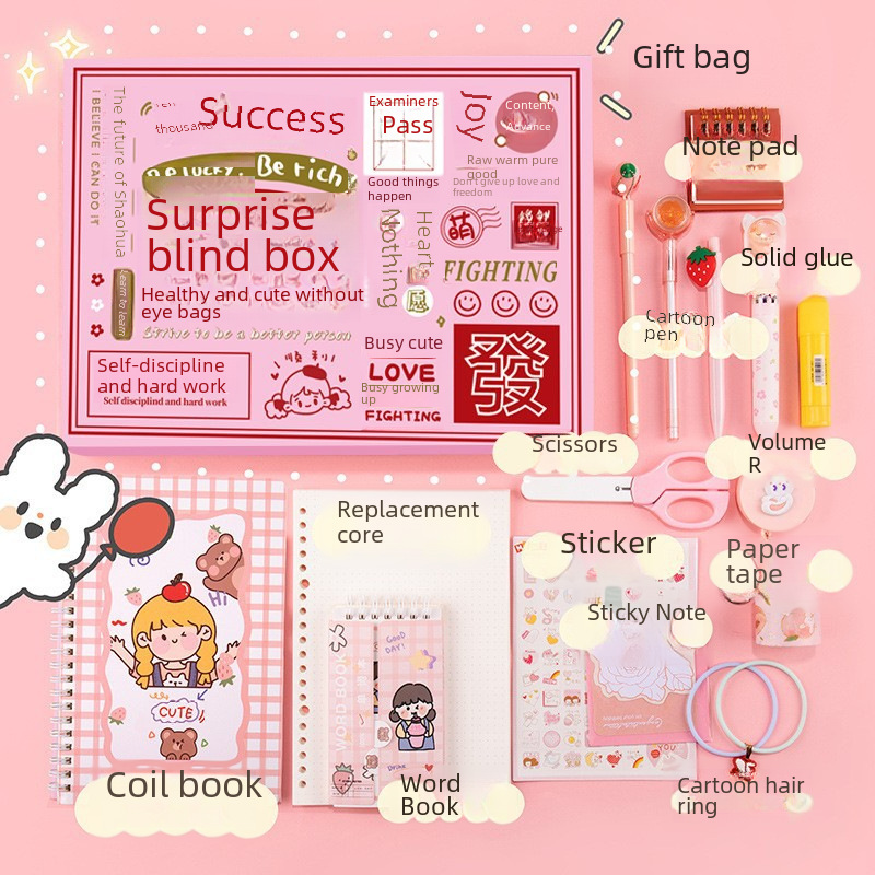 Stationery Big Blind Box Mysterious Surprise for Primary School Students Surprise Stationery Gift Box Cute Creative Lucky Box Big Blind Box