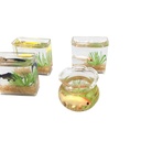 1:12Dollhouse doll house mini glass fish tank miniature koi fish tank scene ornaments