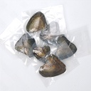 Freshwater pearl clam vacuum packaging clam blind box small clam bead experience open clam bead single small shell