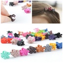 Korean jewelry bangs grab clip children's hair accessories flower Mini small small hair grab