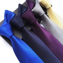 Factory spot supply polyester material men's fashion casual check tie