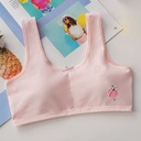 Meng Yirou Student Underwear Development Stage Junior High School Student Vest Girl Wrapping Chest Tube Top 8971