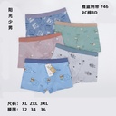 Yaron Nadi Cotton Men's Young Men's Printed 3D Light Boxers Boxers