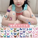 Children's Butterfly Tattoo Sticker Waterproof Sweat Cute Watercolor Cartoon Tattoo Sticker Color Flower Butterfly Sticker Temporary Tattoo