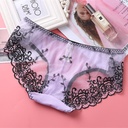 Comfortable skin-friendly high elastic embroidered mesh sexy underwear women's lace plus size low waist quick-drying t Briefs