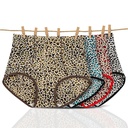 7553 summer Women's large size cool seamless shorts belly high waist sexy leopard ice silk underwear women
