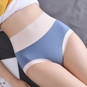 modal high waist plus size women's underwear breathable seamless cotton crotch hip lifting sexy briefs women's contrast color