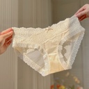 23 French Retro Embroidered Lace Underwear Women's Sexy Pure White Briefs Low Waist Summer