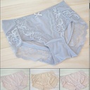 S603 long-term mesh lace soft fabric women's briefs multi-color large size ladies underwear