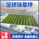 Factory direct football field filling free artificial turf school gymnasium artificial lawn outdoor artificial turf