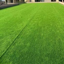 Artificial lawn carpet artificial decoration outdoor green plastic mat enclosure football field kindergarten artificial fake turf