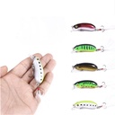 cc60 Luya bait cc50 Rock little fat bait 10g feather hook with sound Zhuhai fishing long shot slow sinking fake bait