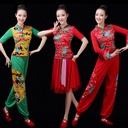Ting Zi Mei Square Dance Costume Suit Spring and Summer Performance Costume Xiangyun Ethnic Classical Yangko Costume