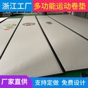 Fighting Roll Mat Fight Taekwondo Judo Mat Wushu Sanda Fight Training Mat Physical Training Dance Mat