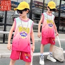 Children's Basketball Clothing Summer Boys and Girls Children's Kindergarten Training Clothes Quick-drying Mesh Sports Suit Printing