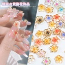 Nail Art Jewelry Time to Work Bauhinia Glaze Phnom Penh Texture Ice Penetrating Resin Clock Flower Decorative Drill