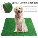 popular large dog toilet pet fixed-point defecation washable dog urinal kennel lawn