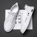 Breathable White Shoes Men's Spring Arrival Korean Style All-Match Fashionable Casual Men's Fashionable Shoes White Shoes Leather Panel Shoes