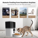 4L/6L/Single Feeding Cost Performance wifi Feeder Smart Feeding Graffiti wifi Shipments Most