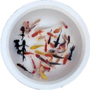 Ornamental fish live small goldfish small fish red grass gold fresh water fish feed fish live fish stall canned fish