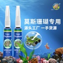 Guoxiang aquarium landscape glue grass glue Moss glue coral skeleton submerged wood grass cylinder gel glue
