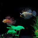 manufacturers fish tank landscaping decorations silicone aquarium ornaments luminous simulation fish color simulation lionfish