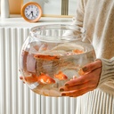 塑料加厚客厅鱼缸办公室小型桌面家用水培植物生态金鱼缸专用瓶子