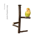 SOURCE Factory Xuanfeng peony parrot toy stand bird solid wood stand Rod rotating shape branch perched Wood