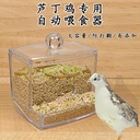 Rutin chicken feeder automatic chicken food box trough food pot food tank feed box feeding drinking water feeder